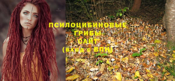 дурь Белоозёрский